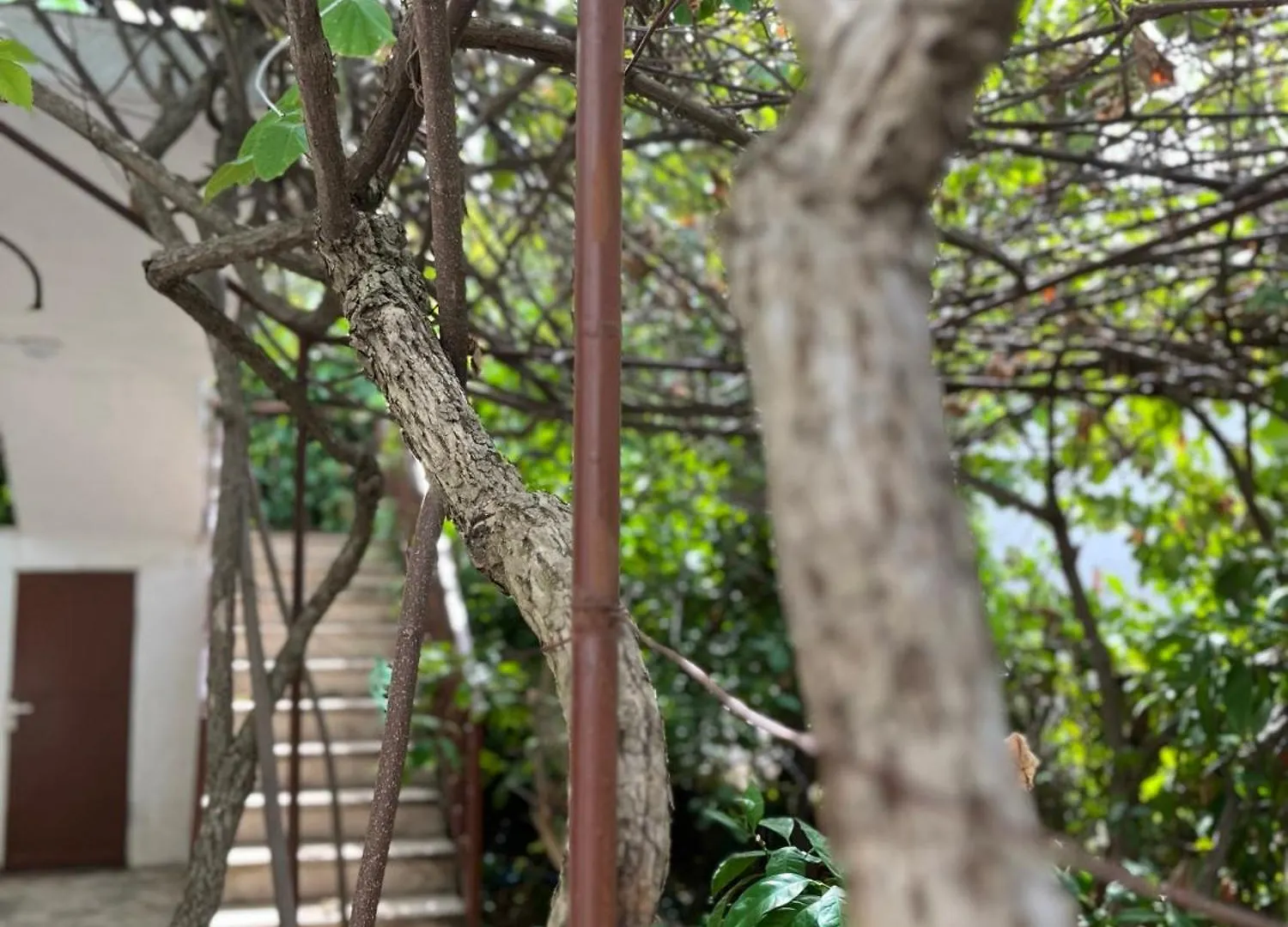 Apartman Miso Donji Okrug  Apartment