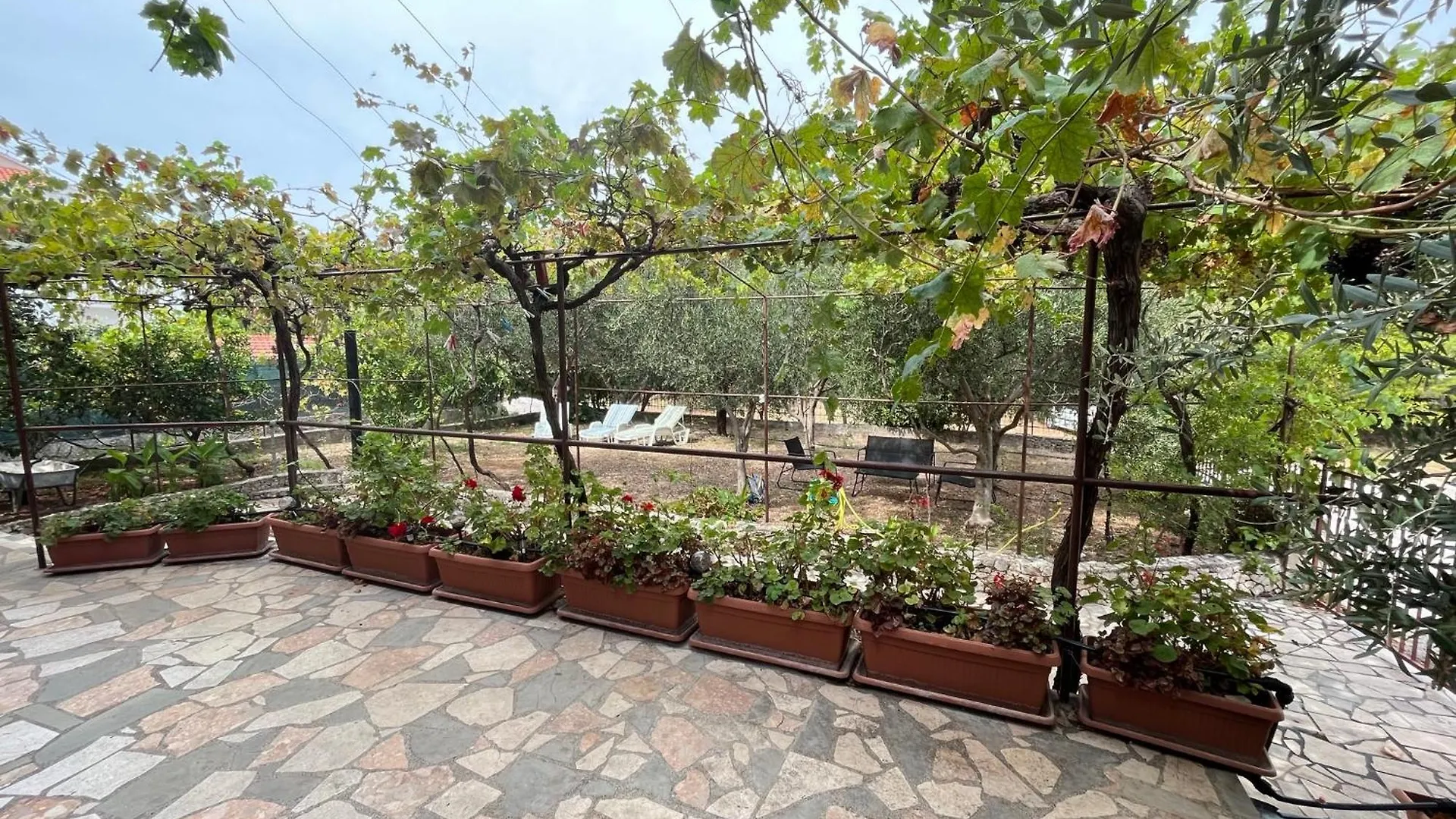 Apartman Miso Donji Okrug  Croatia