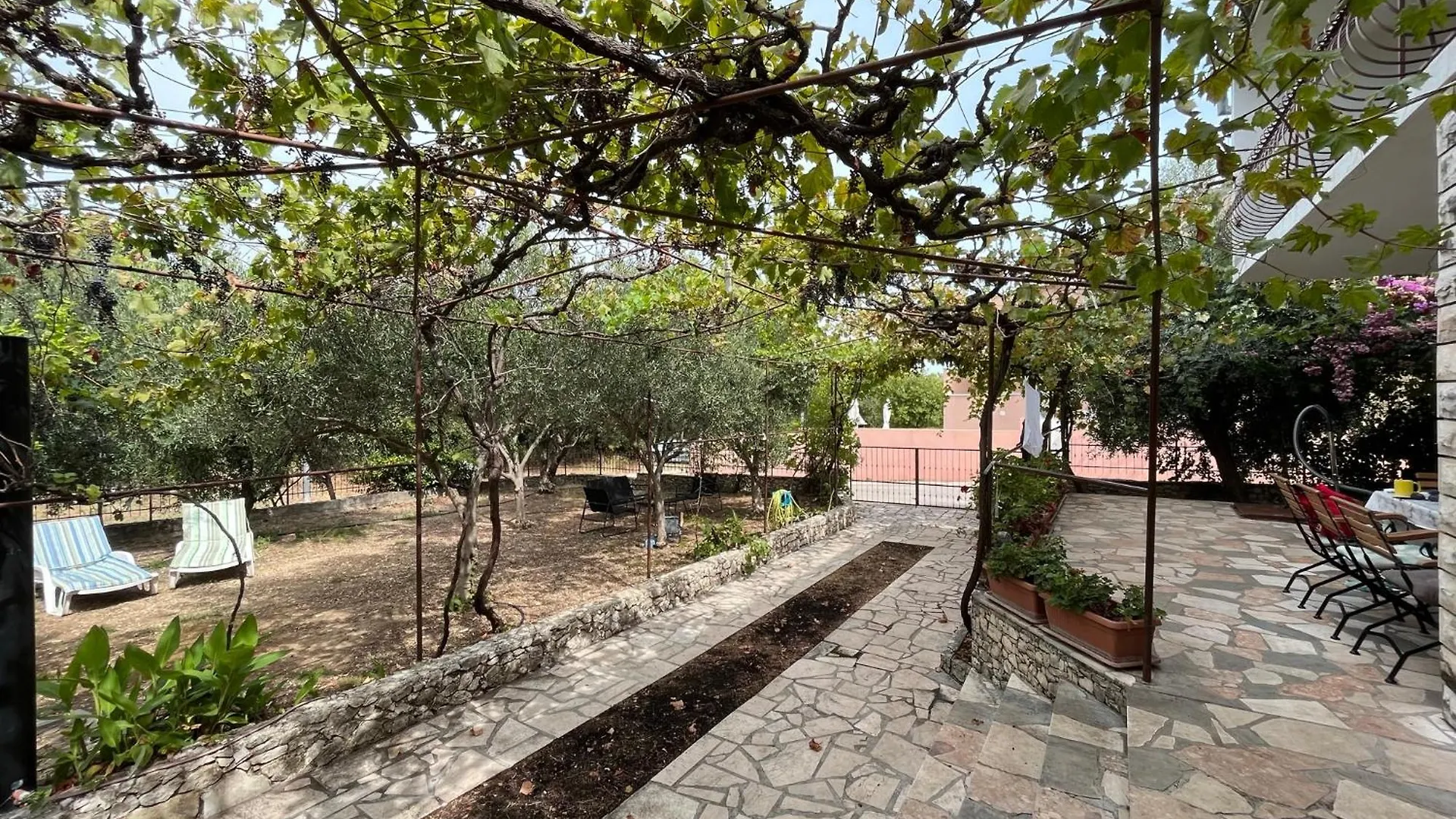 Apartman Miso Donji Okrug  0*, Donji Okrug (Ciovo) Croatia